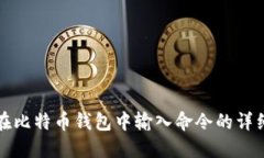 如何在比特币钱包中输入